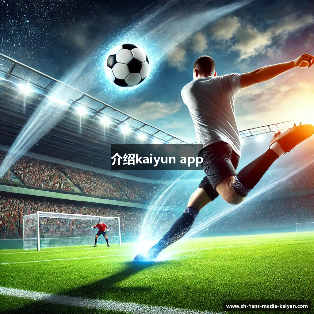 介绍kaiyun app